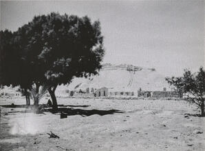 Auja al Hafir Excavations 1930s
