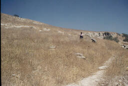 CMBA, Jerusalem, Slide 162