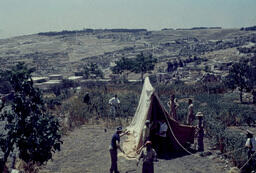 CMBA, Jerusalem, Slide 177